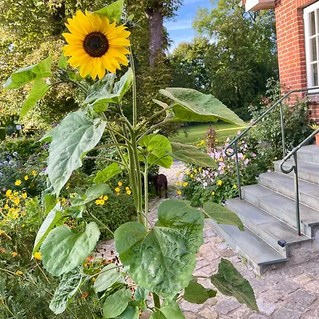Kleine Landhaus-perle Am Schlosspark